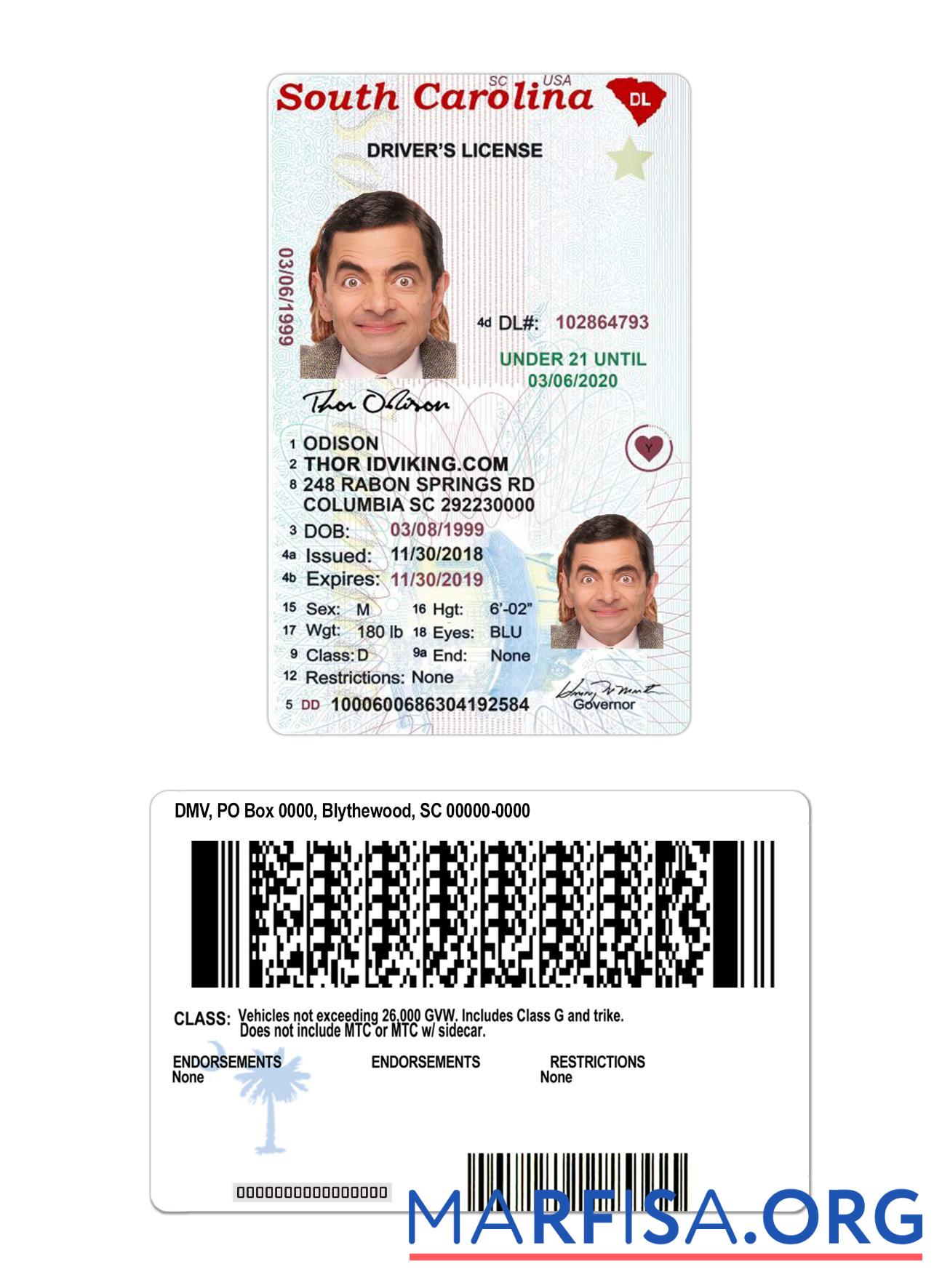 Blank USA South Carolina under 21 driving license real example